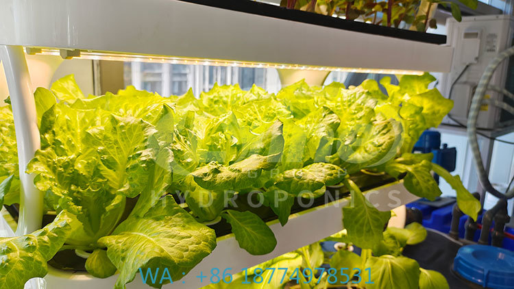 c Agriculture Machine to Growi - đánh giá và giá Agriculture Farming Equipments