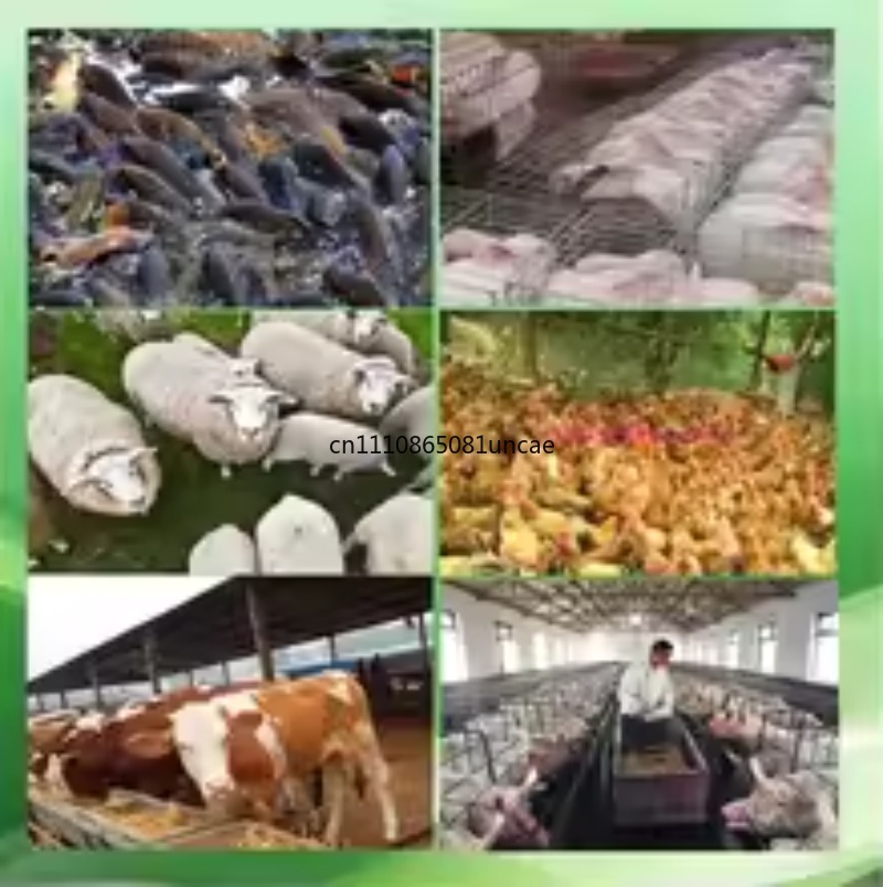 100kg/h-120kg/h Multi-function - đánh giá và giá Wood Pellet Making Machine