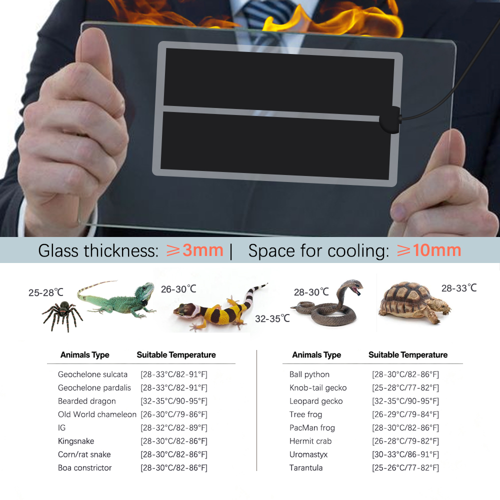 45W-5W 2/4/6H Timing Pet Heati - đánh giá và giá Seedling Heat Mat